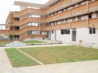 Campus de Cocody : Encore des ossements humains découverts!